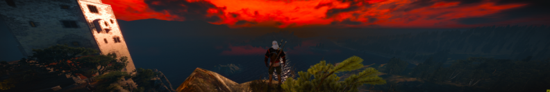 witcher3 2015-08-04 23-25-20-19.png