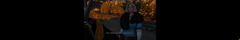 witcher3 2015-08-09 12-29-35-52.jpg